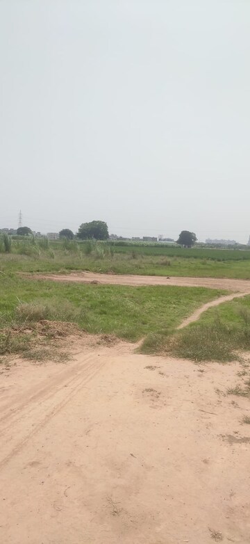 Plot Area in  Plot at Sector 127 – for Sale