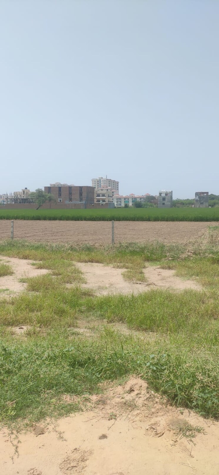 undefined, sector 127  120 Sq.Yd. Plot In Sector 127 Mohali 7769498
