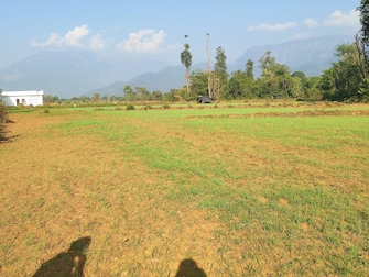 Plot For Resale in Rohini Sector 36 Delhi  7769683