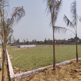 Plot For Resale in Tappal Aligarh  7769697