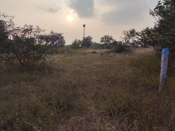Plot Area in  Plot at SV Enclave Turkayamjal, Turkayamjal – for Sale