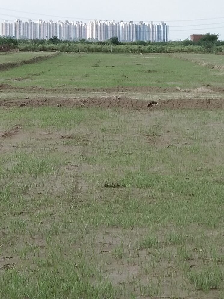 undefined, deri skaner  92 Sq.Yd. Plot In Deri Skaner Greater Noida 7769966