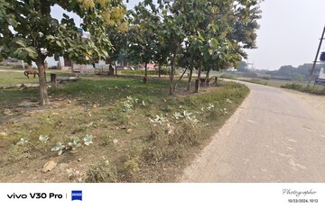 Plot Area in  Plot at Amrai Gaon – for Sale
