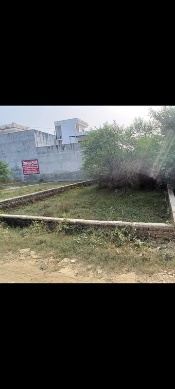 Plot Area in  Plot at Amrai Gaon – for Sale