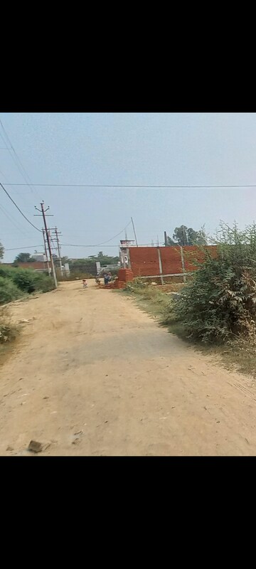 Plot Area in  Plot at Amrai Gaon – for Sale