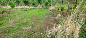  Plot For Sale in Murbad