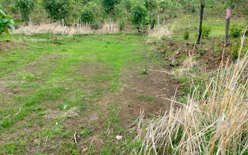Plot For Sale in Murbad
