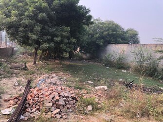 Plot For Rent in Ivory County Sector 115 Noida  7770892