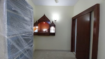 3.5 BHK Apartment For Rent in Mayur Vihar Phase 1 Delhi  7771137