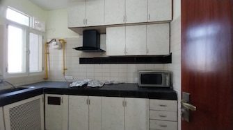 3.5 BHK Apartment For Rent in Mayur Vihar Phase 1 Delhi  7771137