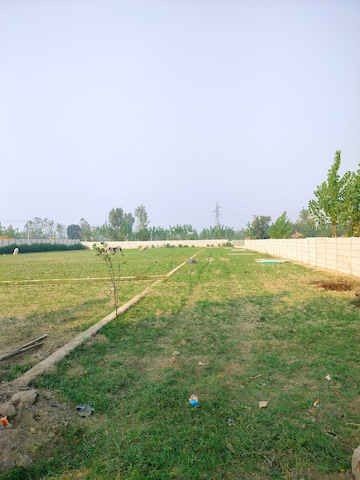 Plot For Resale in Rama Ganga Garden Garhmukteshwar Ghaziabad  7771139