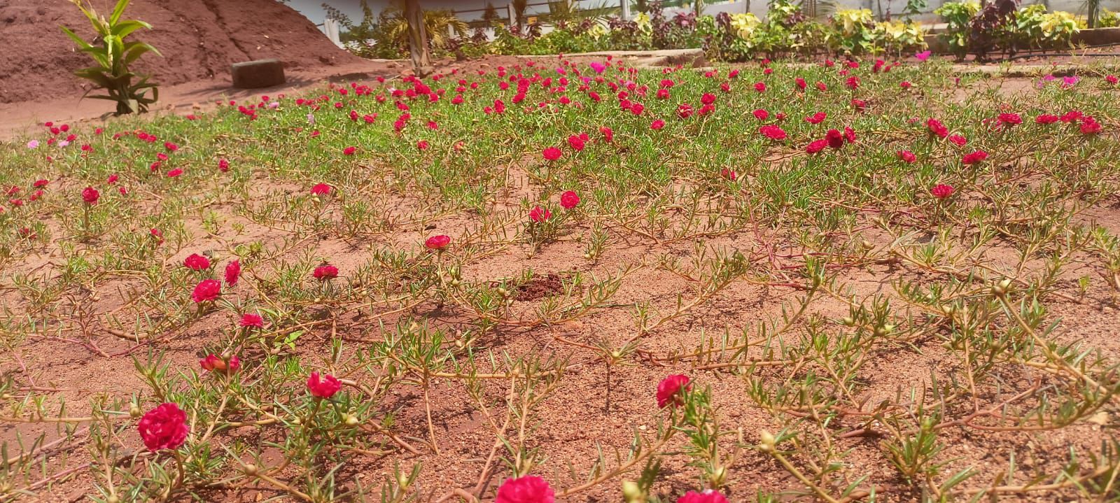 Plot For Sale in Sri Bhumi Eeshaanya