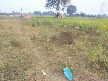 Plot Area in  Plot at Babatpur – for Sale