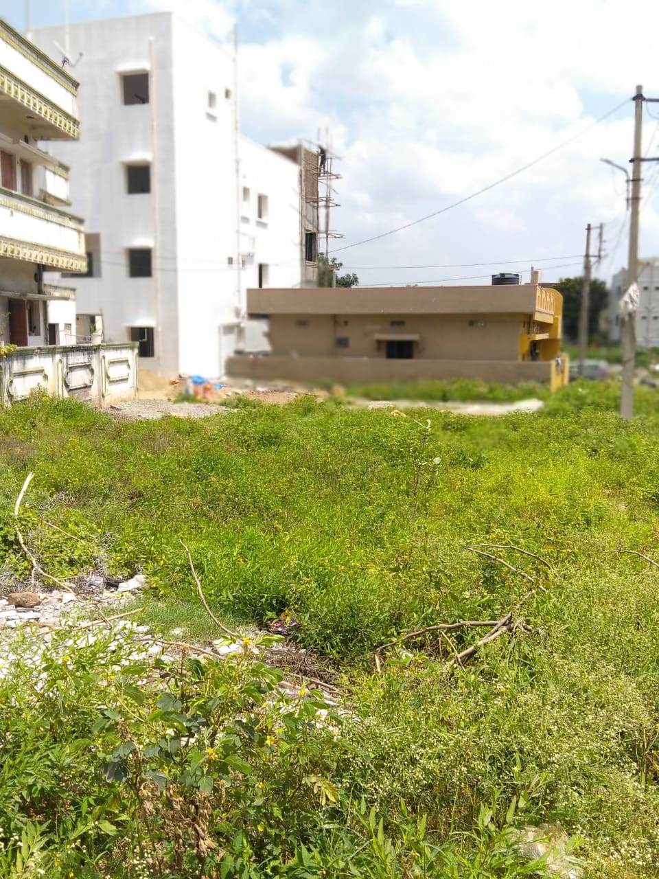 Plot For Resale in Rajendra Nagar Hyderabad  7771732