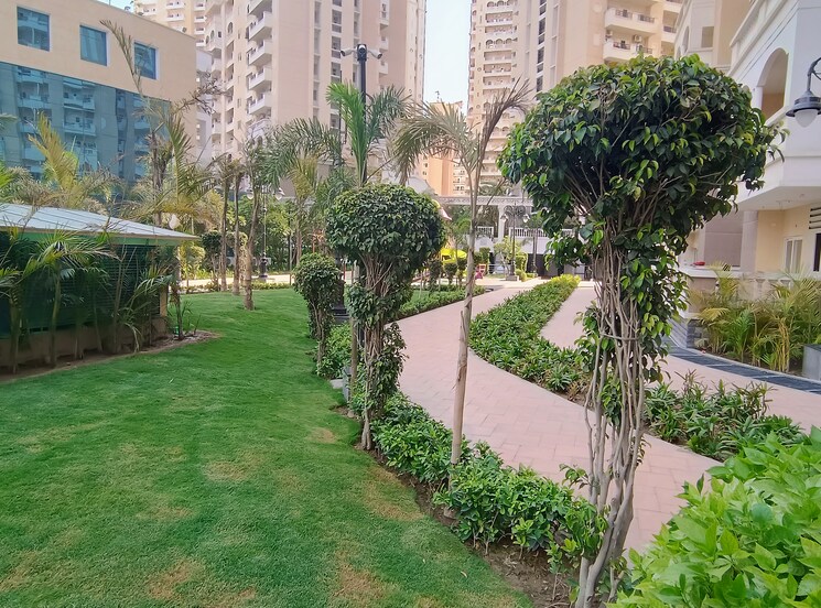 Garden, purvanchal-royal-city-ii 3 Bedroom 1825 Sq.Ft. Apartment In Chi V Greater Noida Greater Noida 7771799