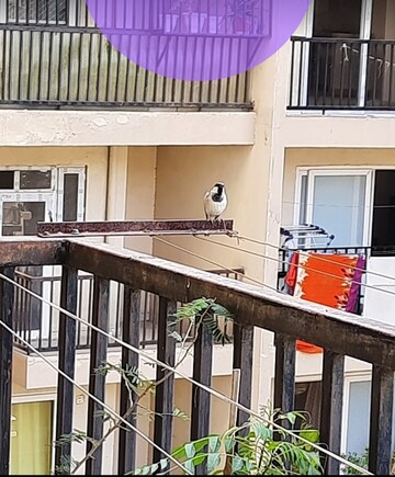 2 BHK Apartment – Exterior View View at Tech Zone 4 Greater Noida - for Sale