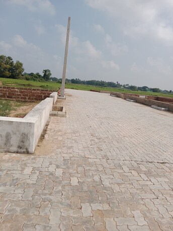 Plot For Resale in Pratap Nagari Cuttack  7771964