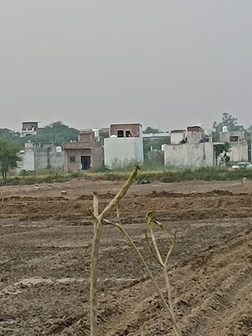 Plot For Resale in Sohna Sector 18 Gurgaon  7772981