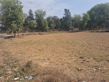 Plot For Resale in Lohgaon Pune  7773469