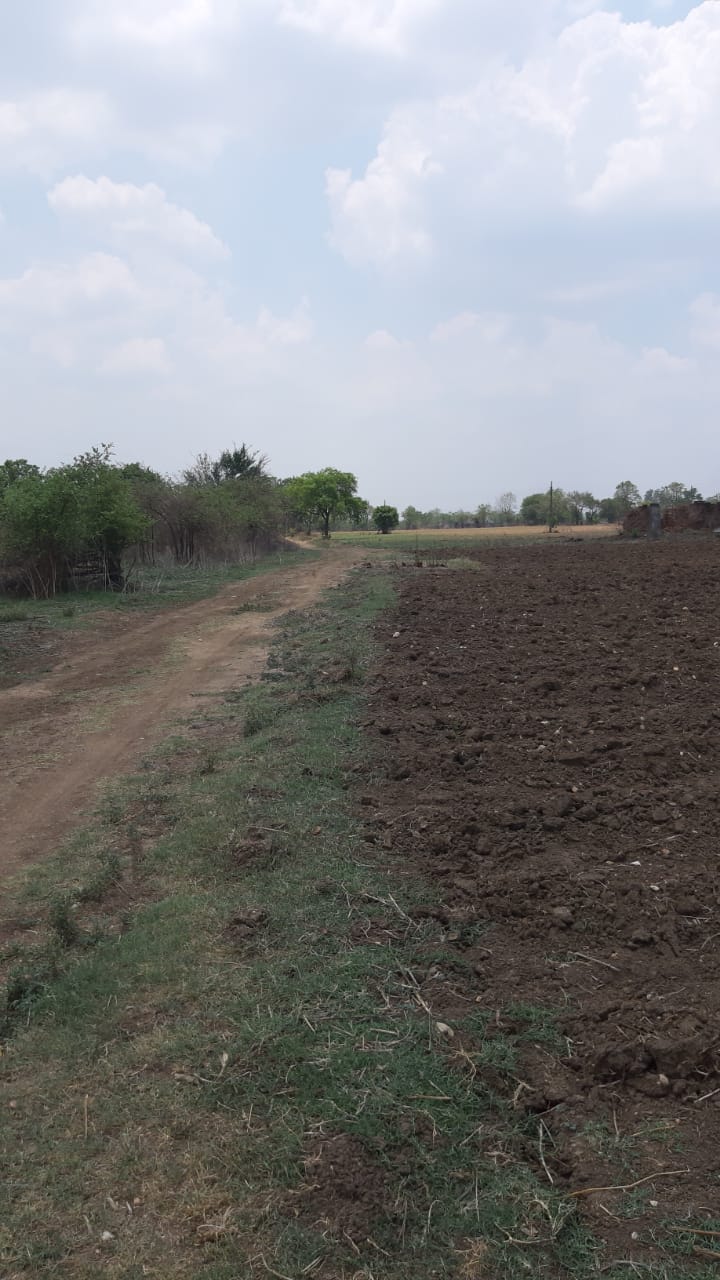 Plot For Resale in Lohegaon Pune  7773476