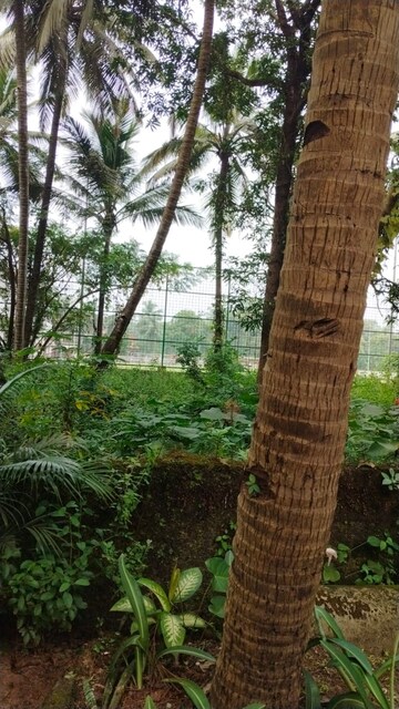 Plot Area in  Plot at Navelim – for Sale