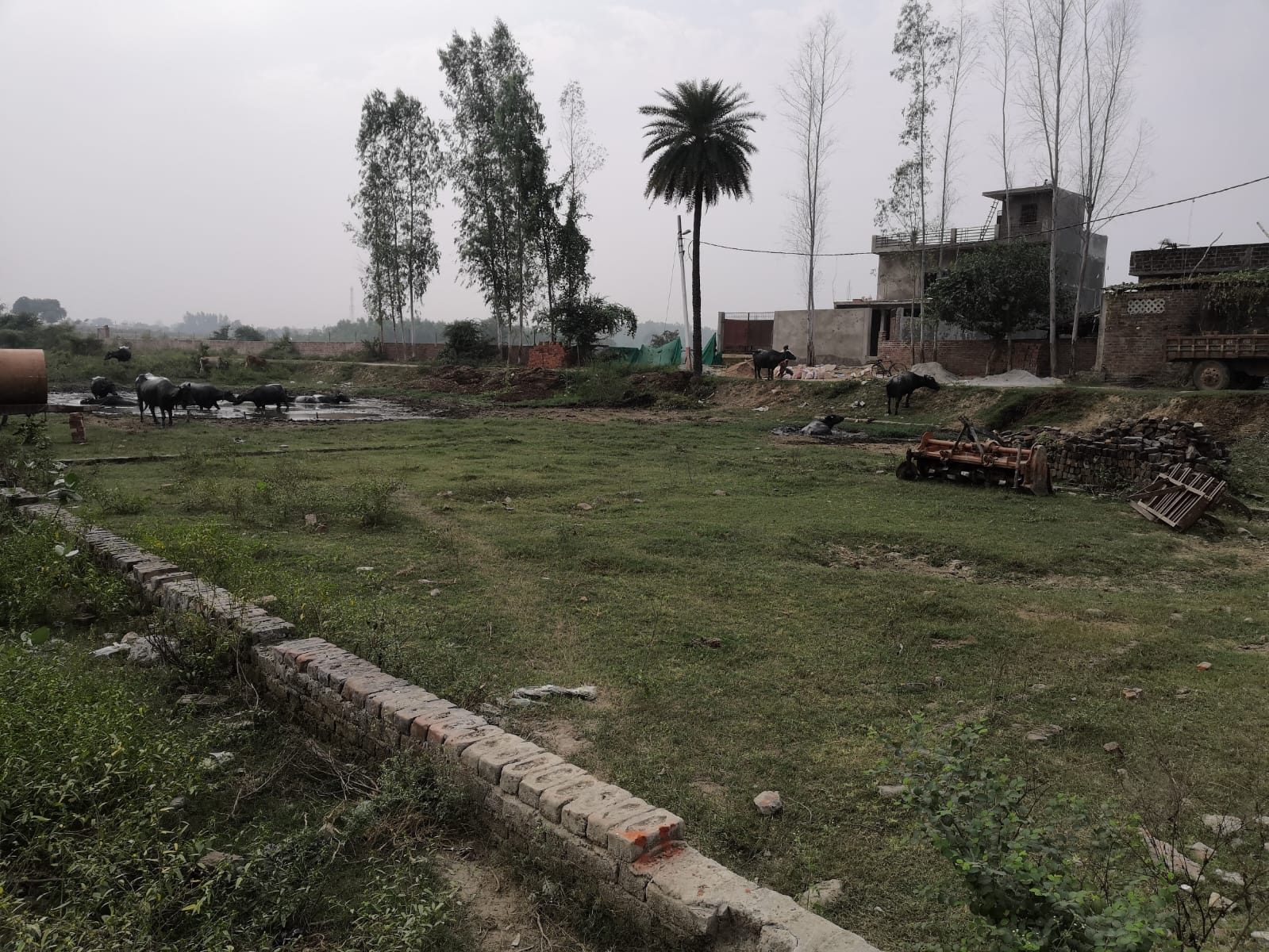 Plot For Resale in Chinhat Lucknow  7773662