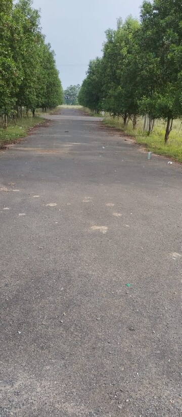  Plot – Exterior View View at Bhogapuram - for Sale