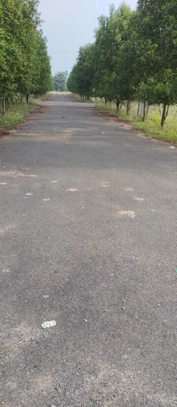  Plot – Exterior View View at Bhogapuram - for Sale