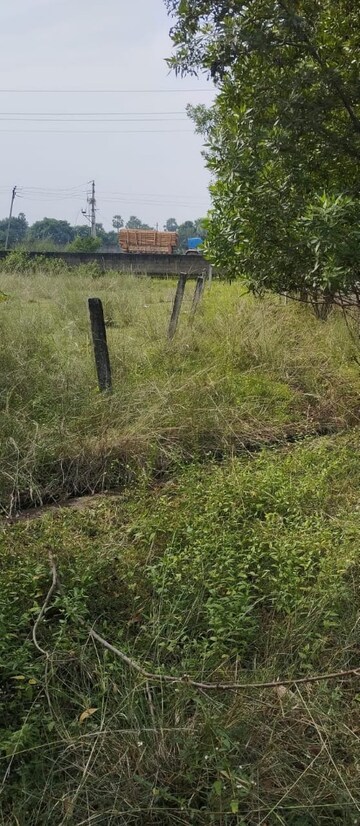 Plot Area in  Plot at Bhogapuram – for Sale