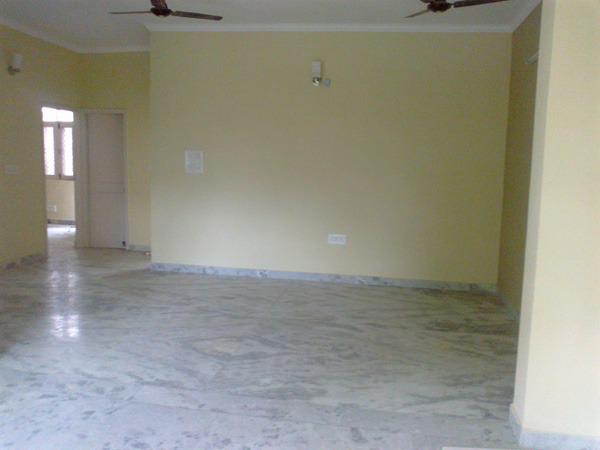 2 BHK Independent House For Rent in Ansal Plaza Sector-23 Sector 23 Gurgaon  7773895