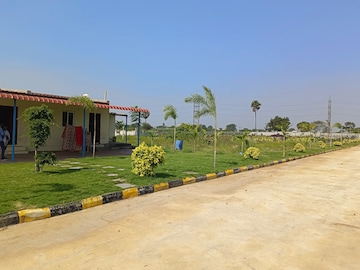 Plot For Resale in Amerispace Dream Meadows Kothur Hyderabad  7773942