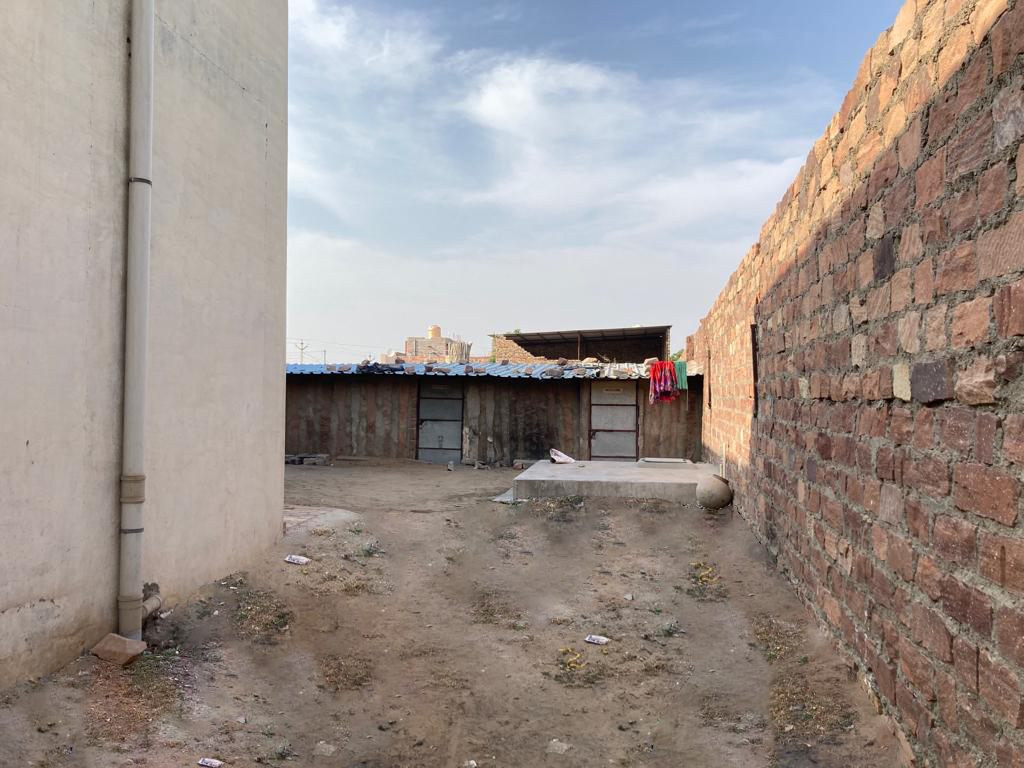 Commercial Warehouse 1600 Sq.Ft. For Rent in Bhadu Market Jodhpur  7773946