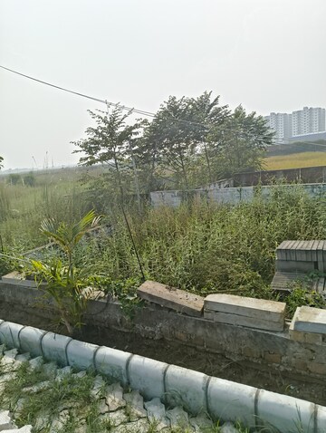 Plot Area in  Plot at Shivala Par – for Sale