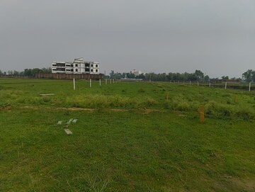 Plot Area in  Plot at Bihta – for Sale