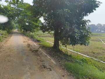Plot Area in  Plot at Bihta – for Sale