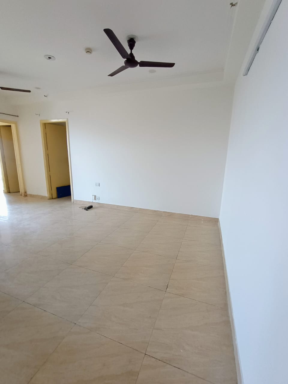 2 BHK Apartment For Rent in Gaur City 7th Avenue Noida Ext Sector 4 Greater Noida  7774308