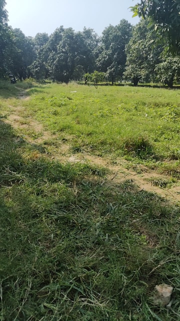 Commercial Land 7 Acre For Resale in New Moradabad Moradabad  7774772