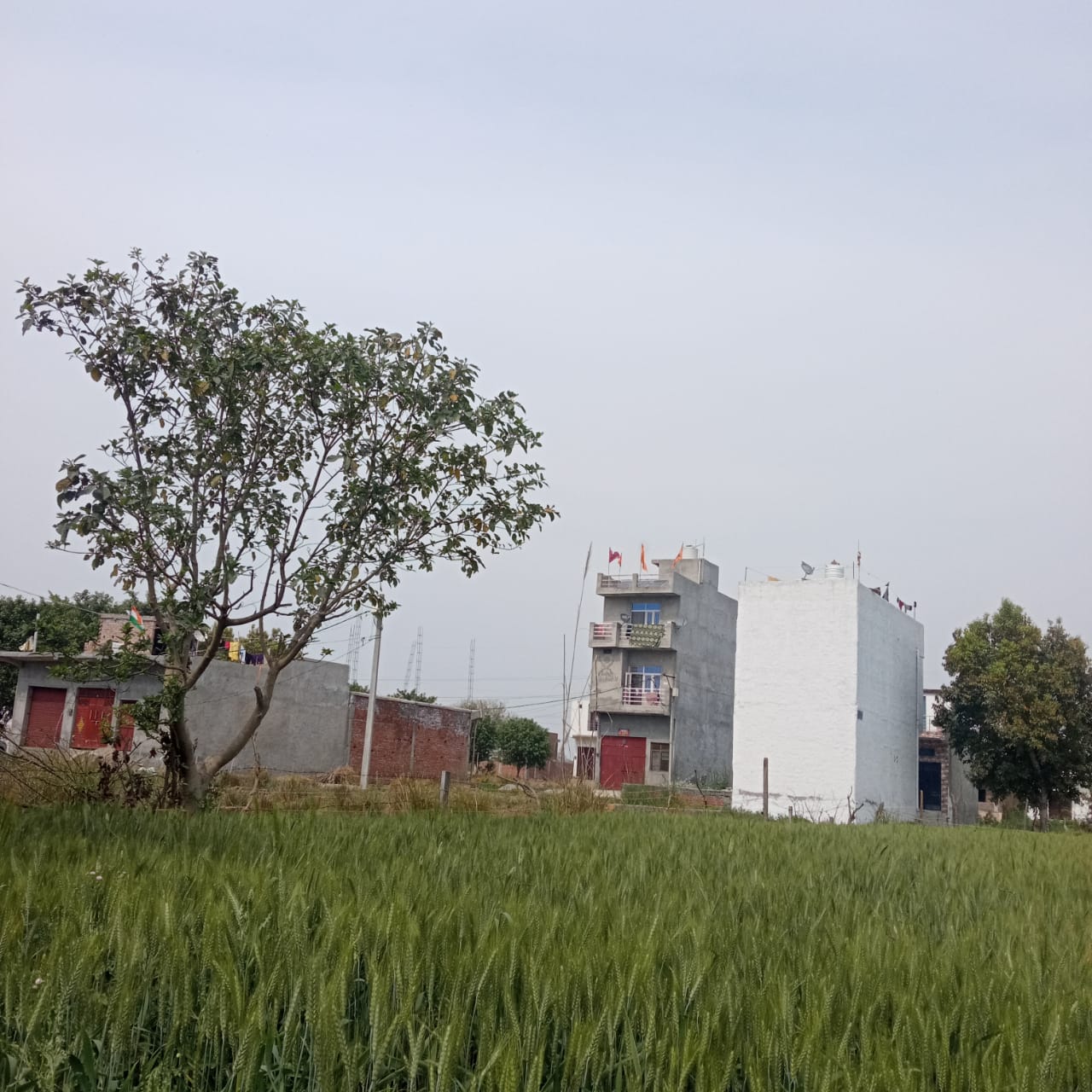 Plot For Resale in Sultanpur Road Lucknow  7774713