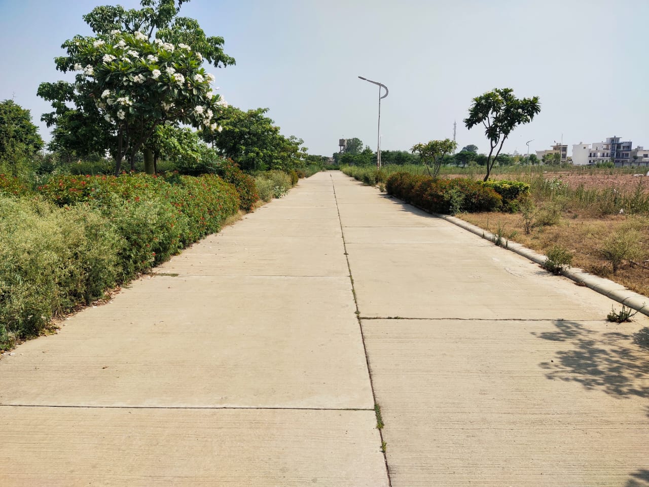 Plot For Sale in Omaxe New Chandigarh