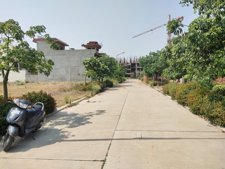 Garden, omaxe-new-chandigarh  115 Sq.Yd. Plot In North Mullanpur Chandigarh 7775153