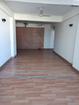 4 BHK Builder Floor For Rent in DLF Silver Oaks Sector 26 Gurgaon  7775179