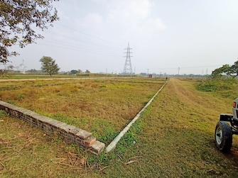 Plot For Resale in Jafrapur Ayodhya  7770631