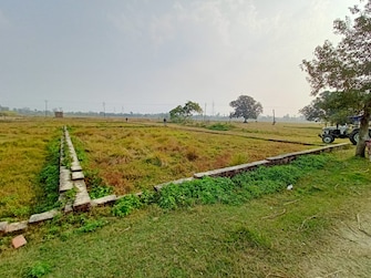 Plot For Resale in Jafrapur Ayodhya  7770631