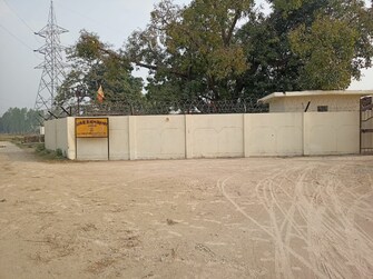 Plot For Resale in Jafrapur Ayodhya  7770631