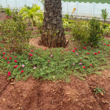  Plot – Exterior View View at Kankipadu - for Sale