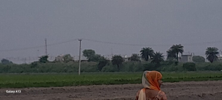 undefined, bhopani village  161 Sq.Yd. Plot In Bhopani Village Faridabad 7775440