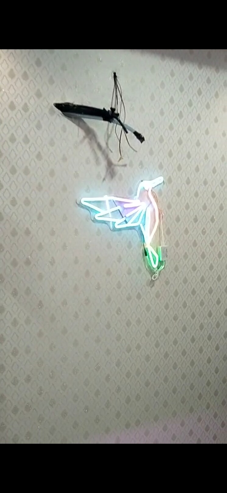 Bathroom, raja park 3 Bedroom 1600 Sq.Ft. Builder Floor In Raja Park Jaipur 7775448