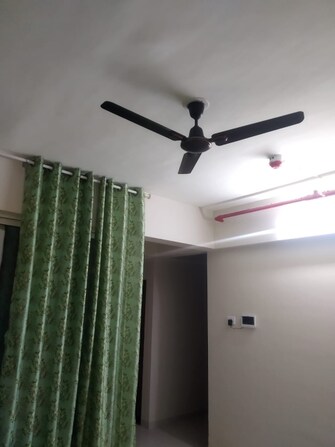 2 BHK Builder Floor For Rent in Bharti Vidyapeeth Campus Pune  7775637