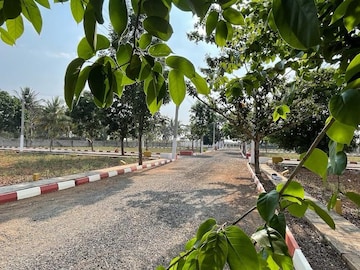 Plot For Resale in Channasandra Main Road Bangalore  7775611