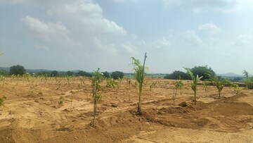 Plot Area in  Plot at Jangaon – for Sale